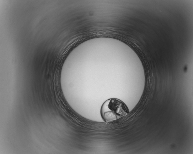 X0000116060092200911201210