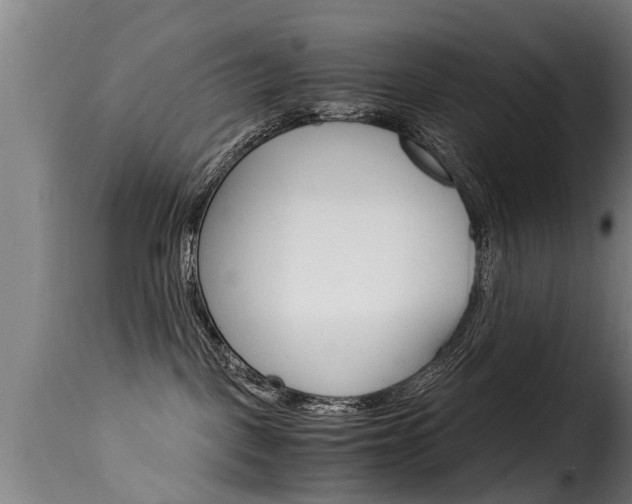 X0000116060093200911201210