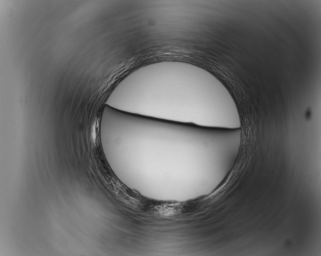 X0000116060094200911201210