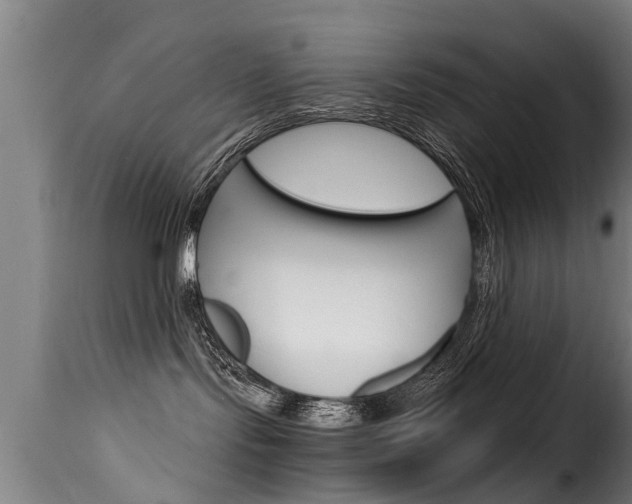 X0000116060095200911201210