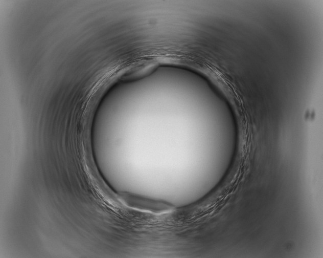 X0000116060097200911201210
