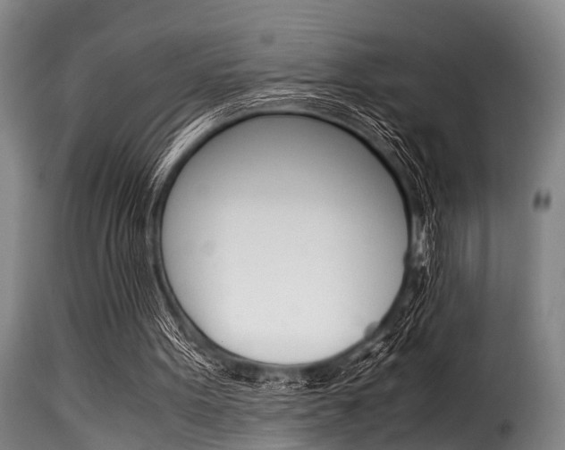 X0000116060099200911201210