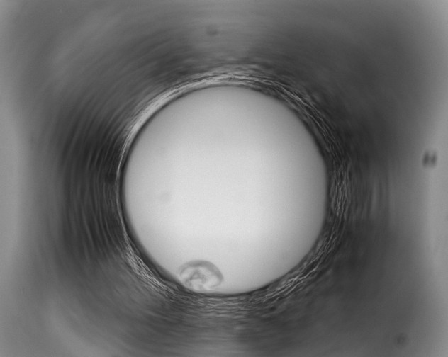 X0000116060100200911201210