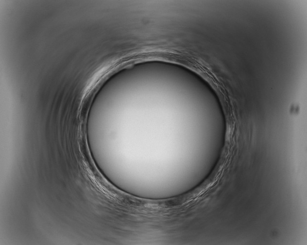 X0000116060101200911201210