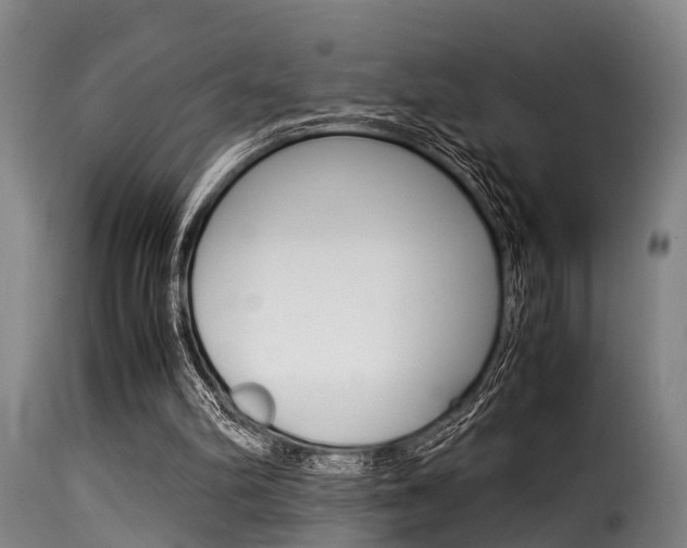 X0000116060102200911201210
