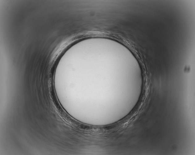 X0000116060103200911201210