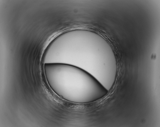 X0000116060104200911201210