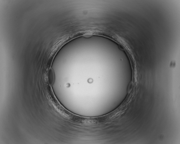 X0000116060105200911201210