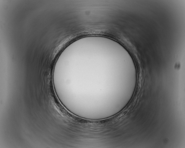 X0000116060107200911201210