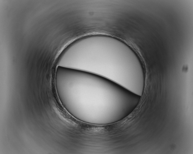 X0000116060108200911201210