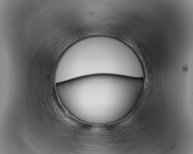 X0000116060109200911201210