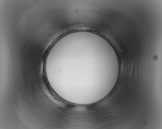 X0000116060110200911201210
