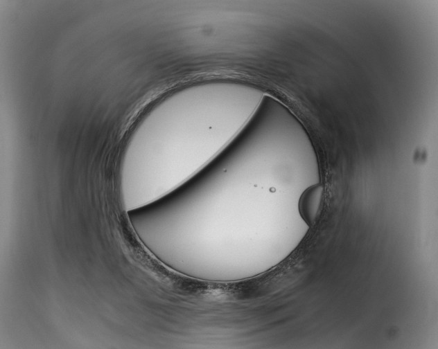X0000116060111200911201209