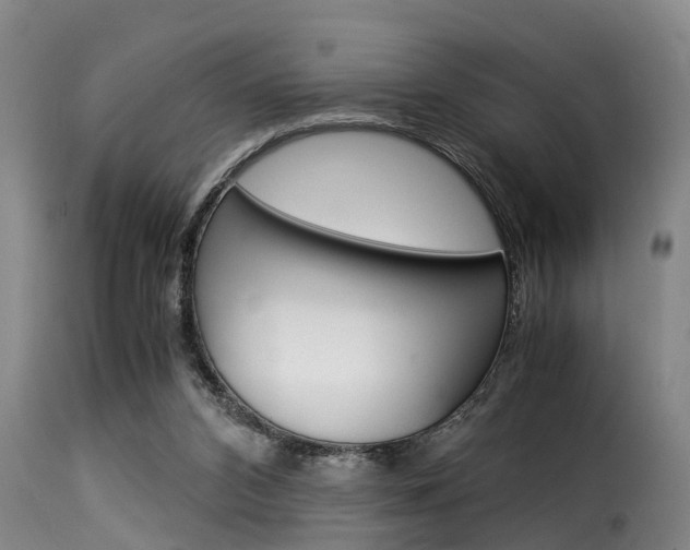 X0000116060112200911201209
