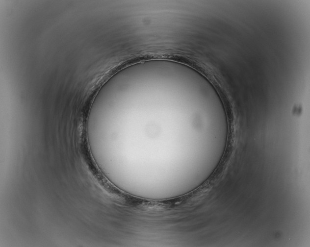 X0000116060113200911201209