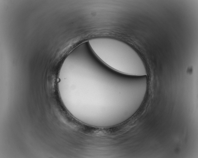 X0000116060115200911201209