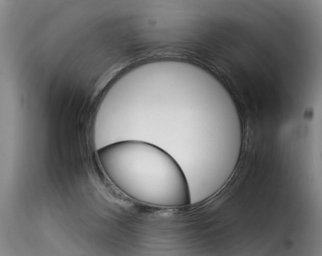 X0000116060116200911201209