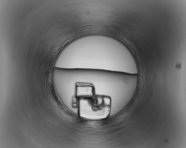 X0000116060117200911201209