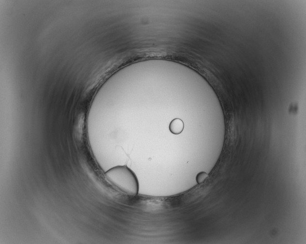X0000116060118200911201209