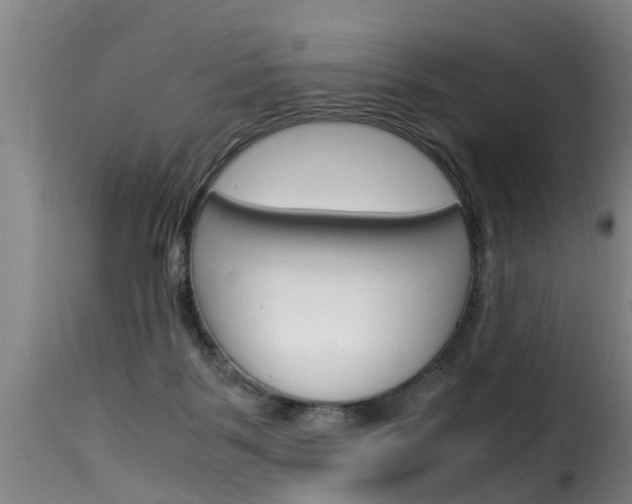 X0000116060123200911201209