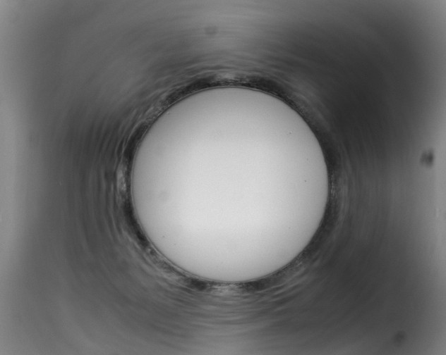X0000116060127200911201209