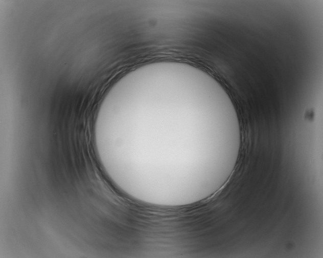 X0000116060128200911201209