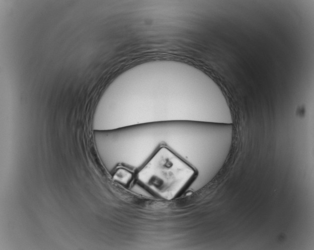 X0000116060129200911201209