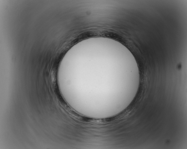 X0000116060131200911201209
