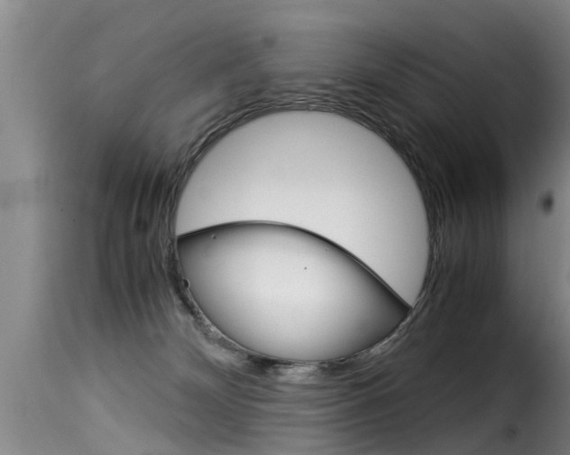 X0000116060132200911201209