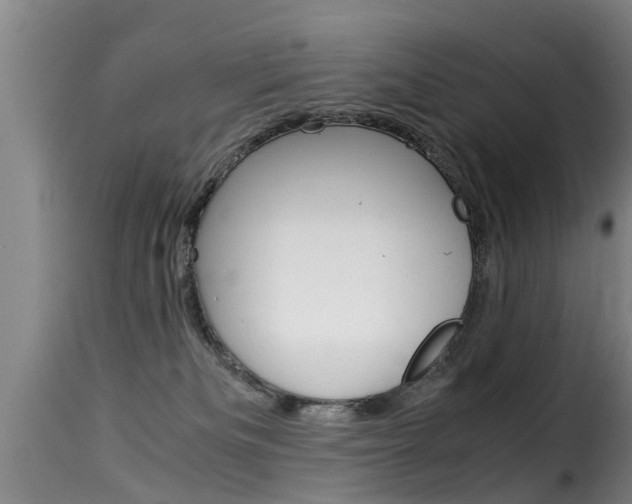X0000116060133200911201209