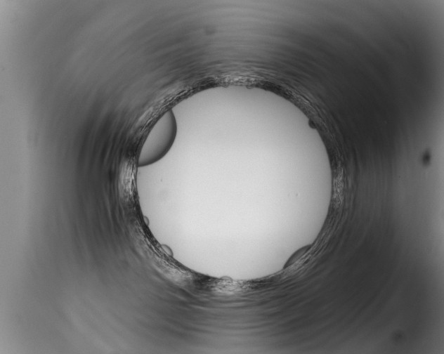 X0000116060142200911201209