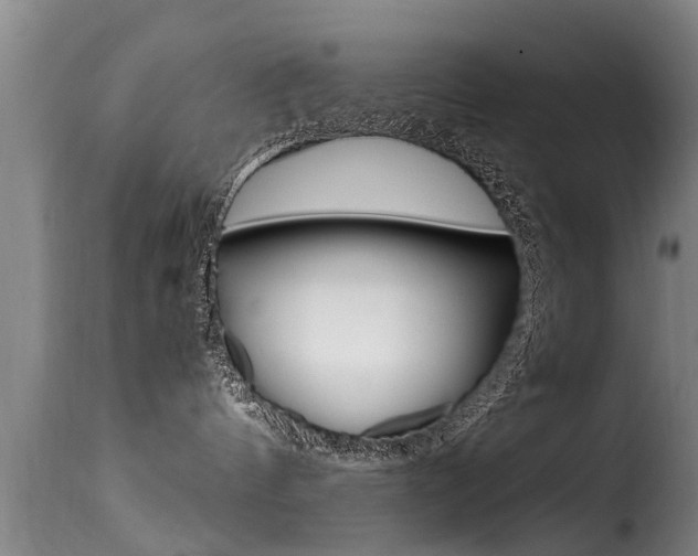 X0000116060144200911201209