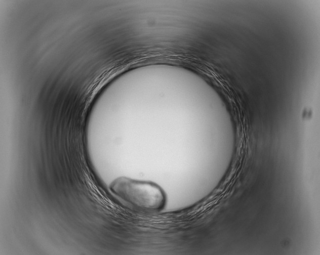 X0000116060146200911201208