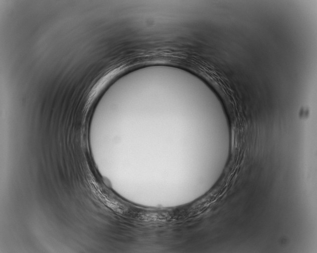 X0000116060147200911201208
