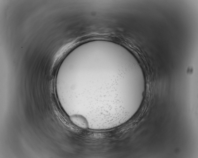 X0000116060149200911201208