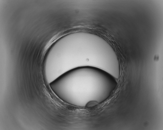 X0000116060150200911201208