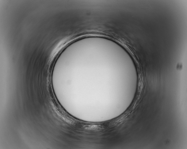 X0000116060151200911201208