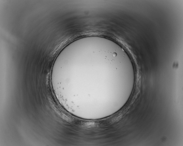 X0000116060153200911201208