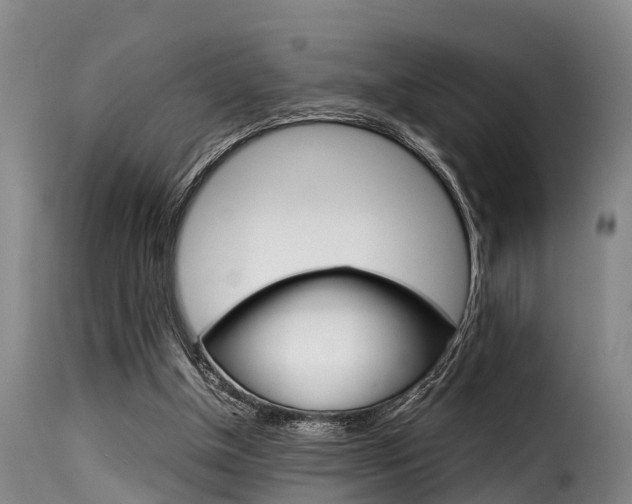 X0000116060154200911201208