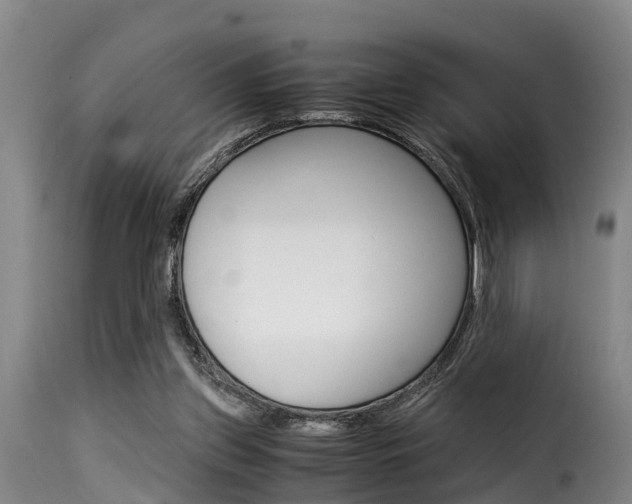 X0000116060157200911201208