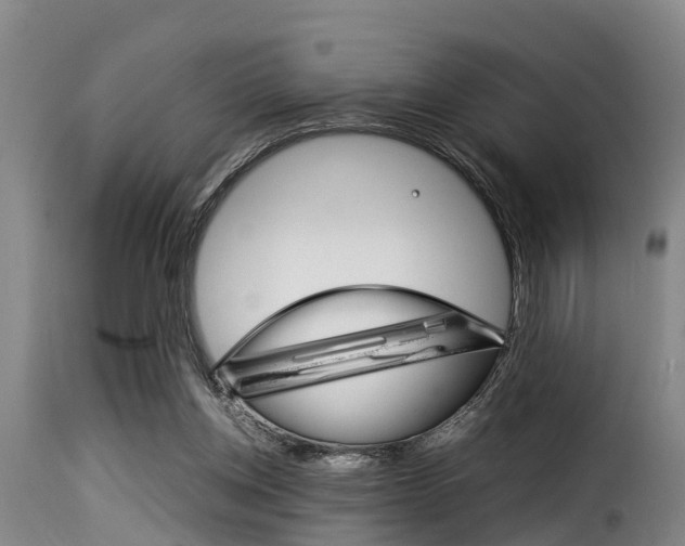 X0000116060158200911201208