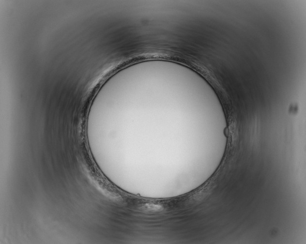 X0000116060159200911201208