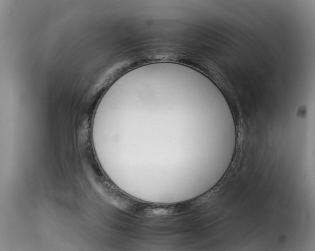 X0000116060163200911201208