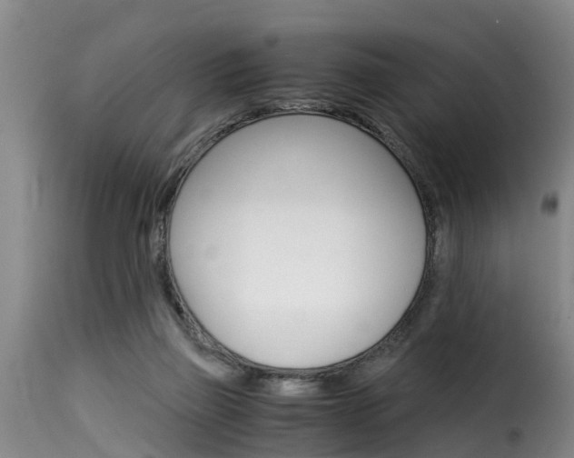 X0000116060165200911201208