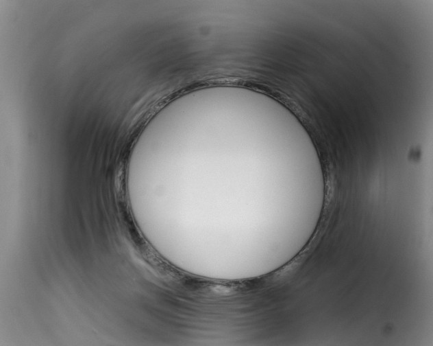 X0000116060166200911201208