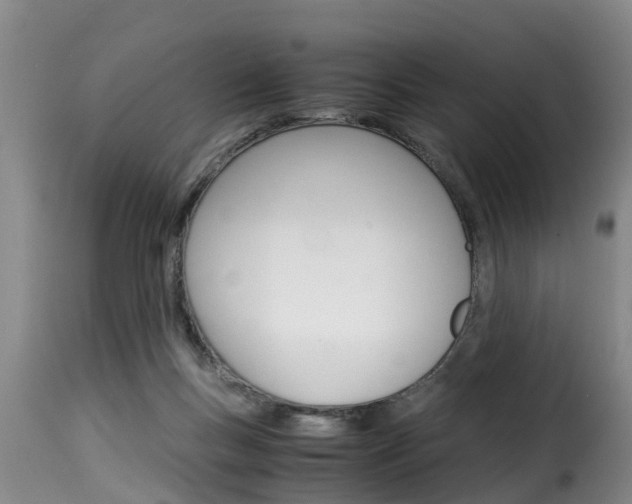 X0000116060167200911201209