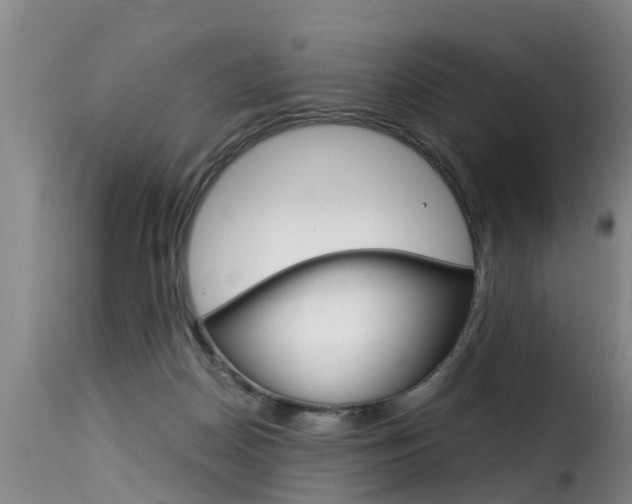X0000116060170200911201209