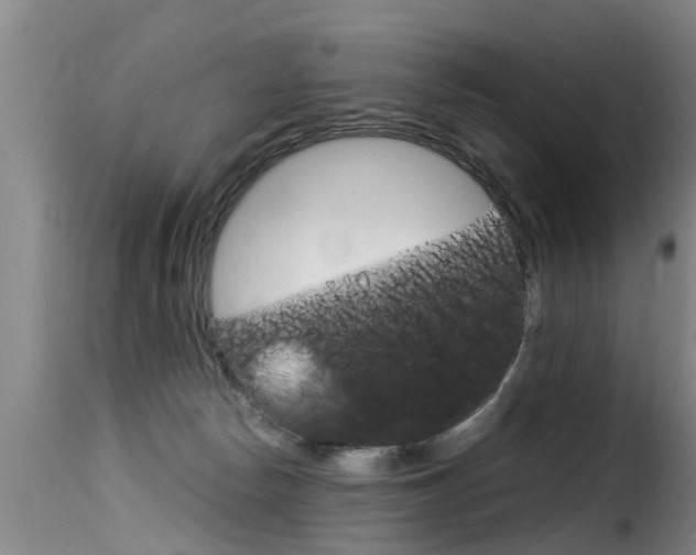 X0000116060178200911201209