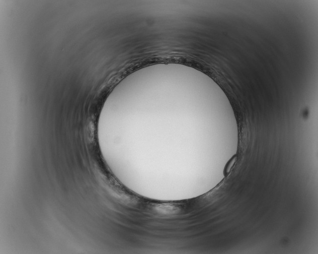 X0000116060183200911201209