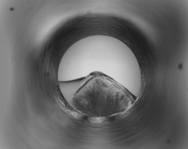 X0000116060191200911201209